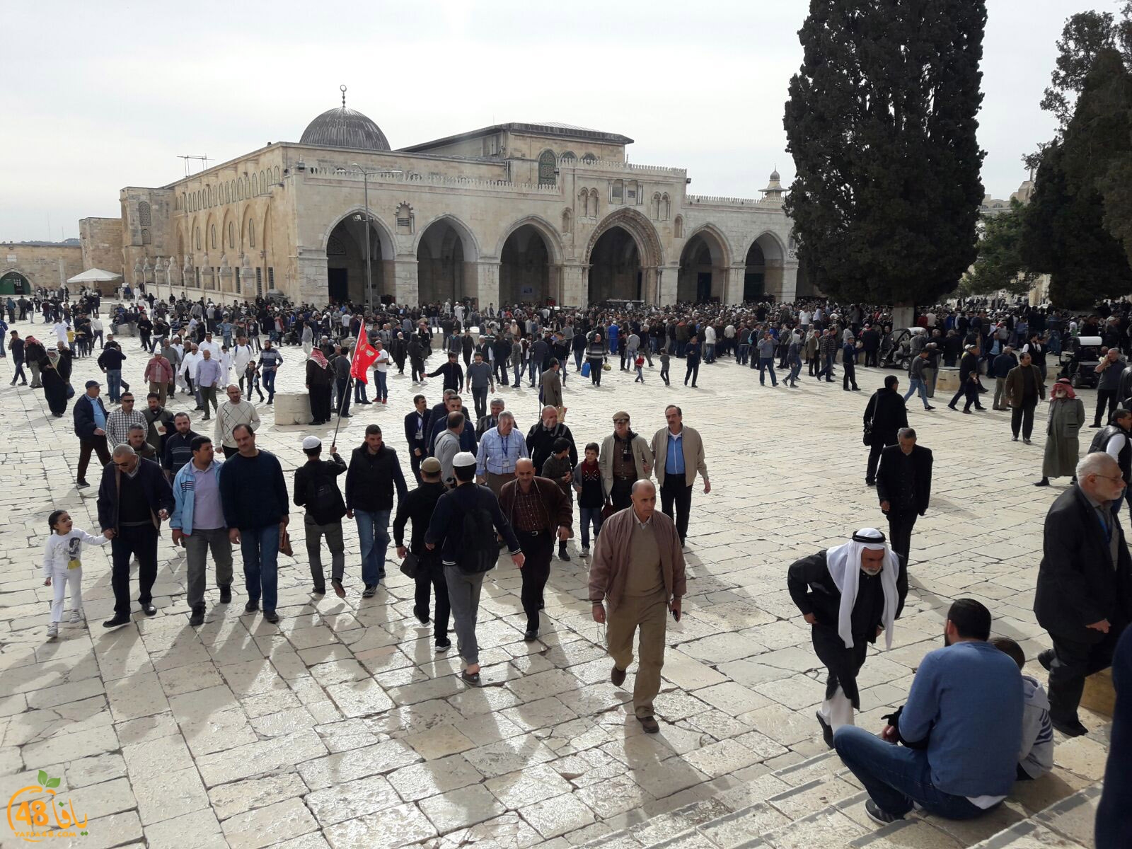 aqsa masirate (5).jpg